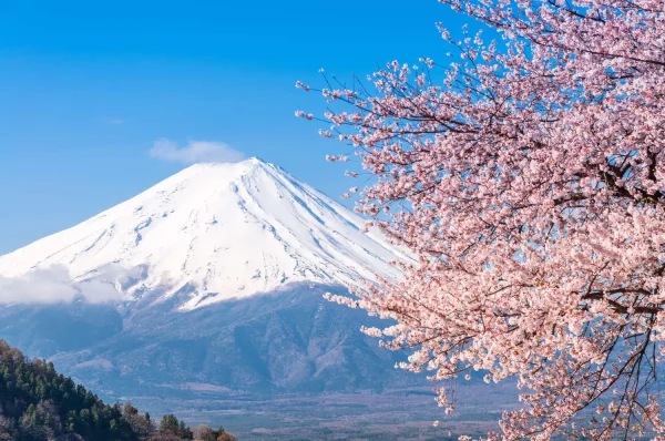 Tour Du lịch Nhật Bản Trượt Tuyết: Osaka - Tokyo - Shirakawago - Núi Phú Sĩ 5N5Đ