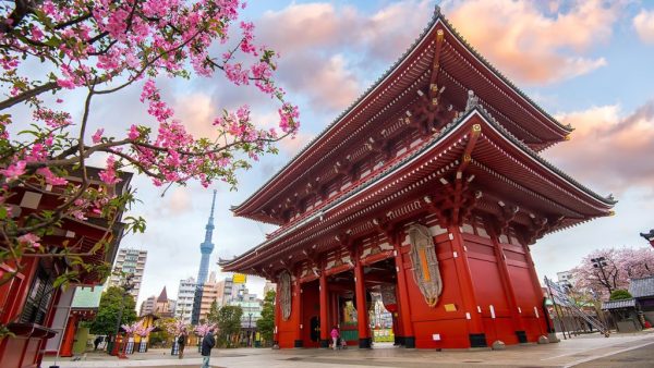 Cung Đường Vàng Nhật Bản – Hành Trình 5 Ngày 5 Đêm Từ Osaka Đến Tokyo