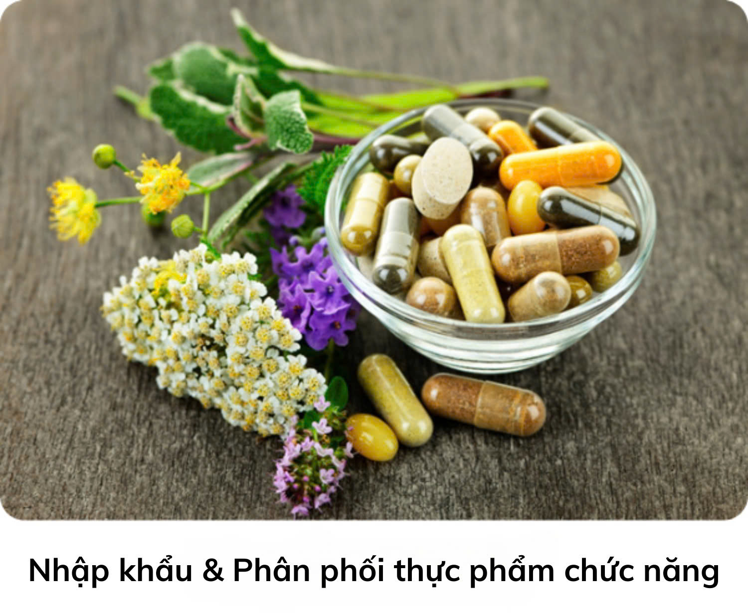 Thực Phẩm - Nhập Khẩu - Phân Phối