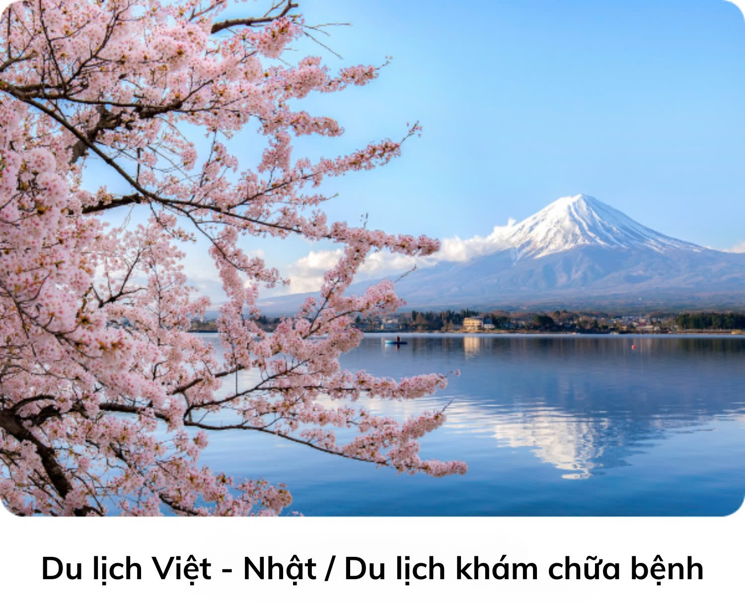 Du lịch Việt - Nhật 