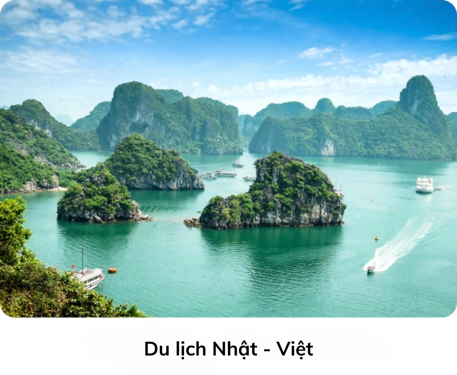 Du lịch Nhật Việt