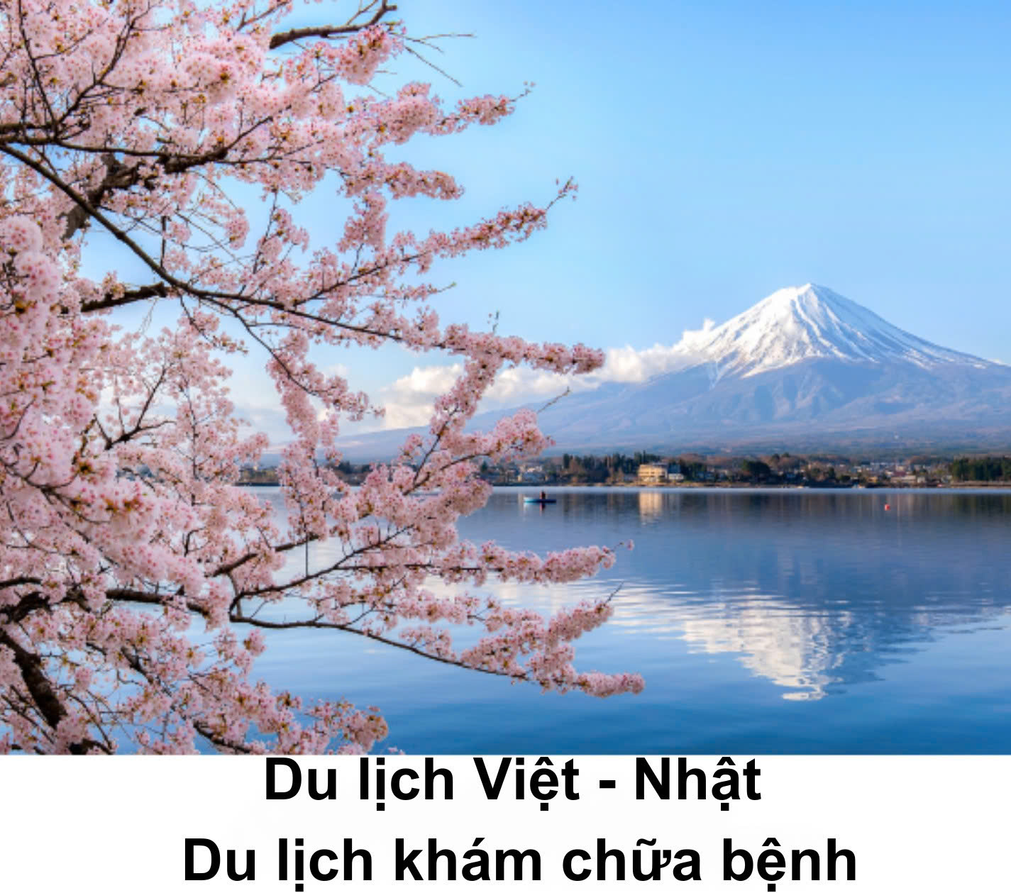 Du lịch Việt - Nhật 
