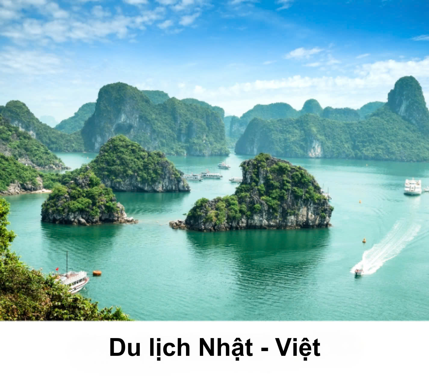Du lịch Nhật Việt